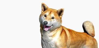 Le medication has arrived