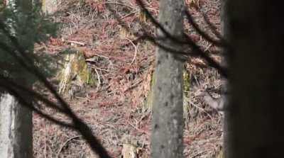 End of Evangelion reference 😱😱🤯🤯