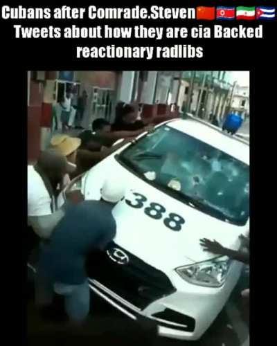 Gringo leftist moment