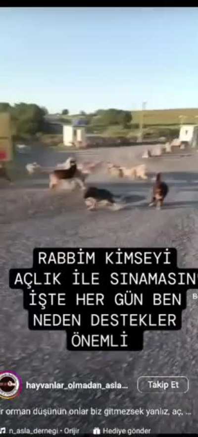 UYUTMAYIN SAKLAMA KABINA KOYUN