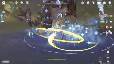 A tribute to our favourite electro cat