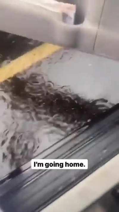 My flip flop people need me