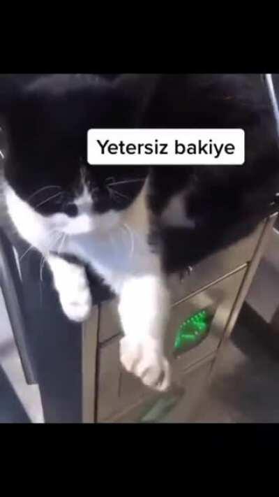 insufficient balance