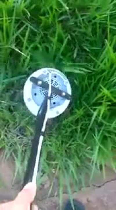 When you don't have enough money to start your landscaping summer job