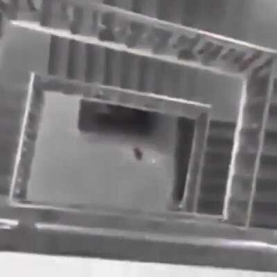 Mano não e o primeiro e com certeza tera mais então me fala pq os ratos estão ser matando nesse ano