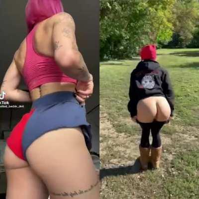 What I show on Tiktok vs what I show on Reddit :3