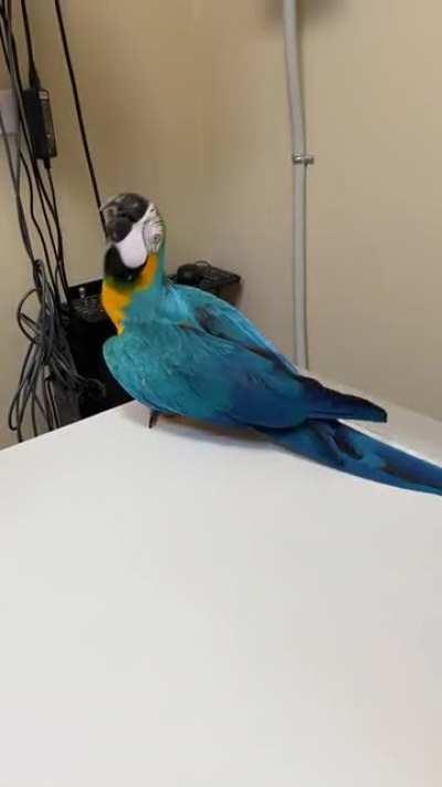 Having the time of her life