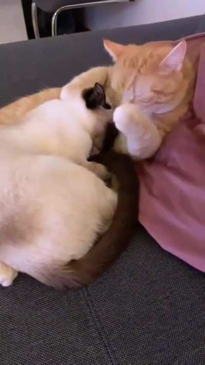 Most Comfortable Place !!! 😍🥰🥰