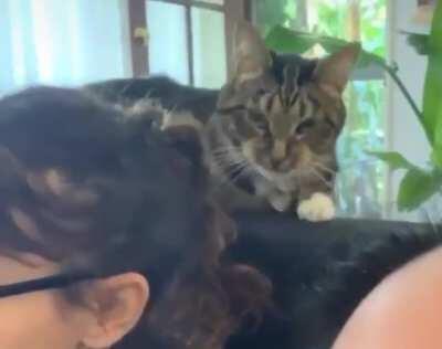 When you're being a pain in the ass and then you realize you're on camera