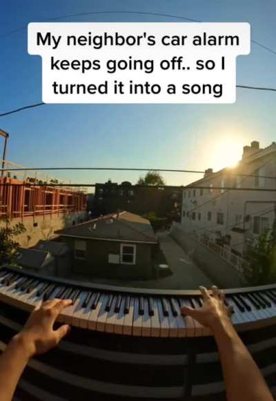 Car alarm turned into majestic art