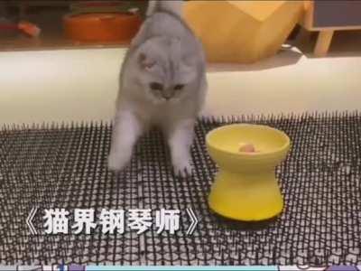 smart japanese assholes