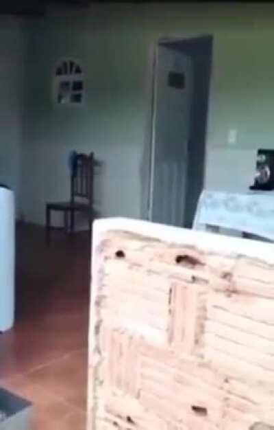 Light a firecracker, throw the lighter, and run with the firecracker to (not) safety