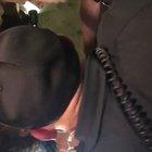 When you are in the middle of a shitstorm, but only want some grilled cheese