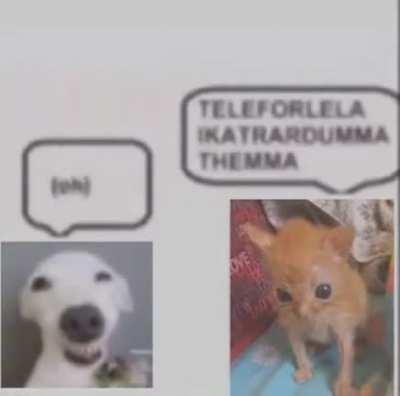 I think the mold may have gotten to the right ones brain