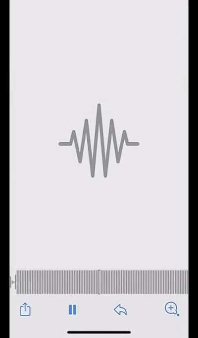 new carti x icytwat snippet