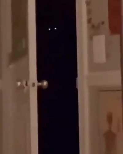 Если тебе вдруг стало одиноко