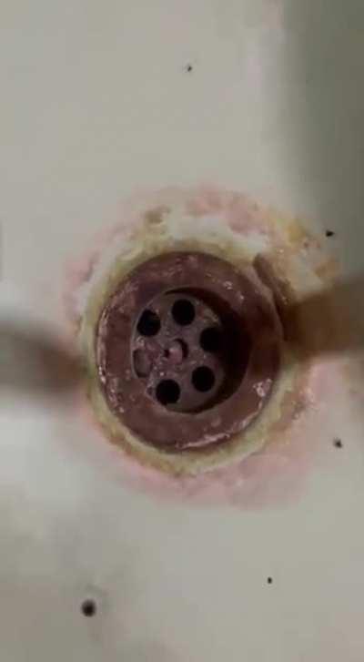 they're in the drains