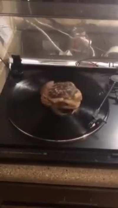 Damn that frog do be wavy tho