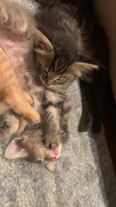 You are getting sleepy, verrry sleepy