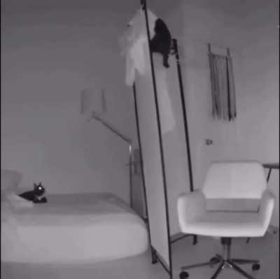 This time round Hako wasn’t the jerk. Bruh Haru