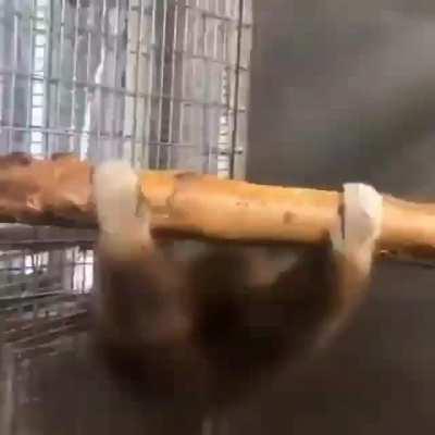 Aconteceu com você muquinha?