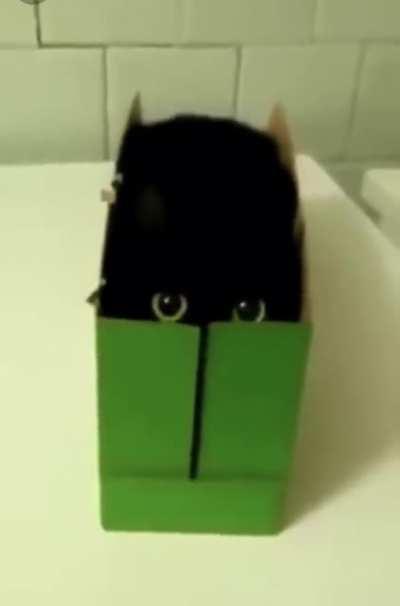 In this enclosure, no one sees me