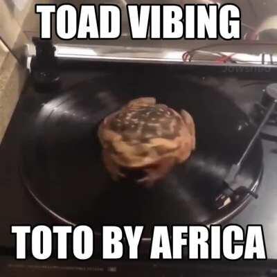 i bless the rains down in toto
