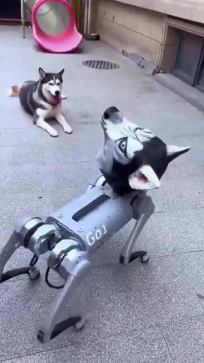 Terminator: Machine Dog. This is nowhere near uncanny valley