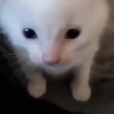 o o a e aee o-o e-e o o oo