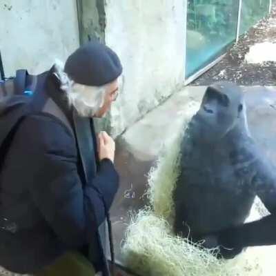 discussing the bananaconomy