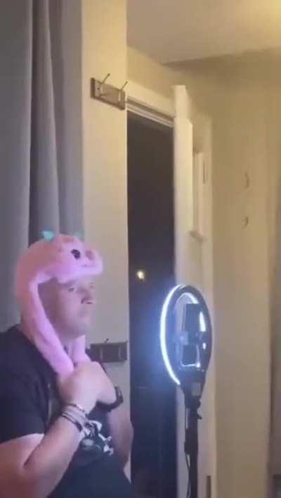 Non-News post to lighten the mood