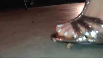 Veronica teaches crickets a lesson