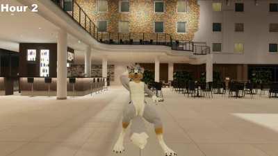 The inevitability of the VR Chat user