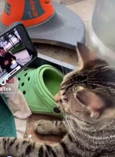 How it feels buying into GME after scrolling through WSB