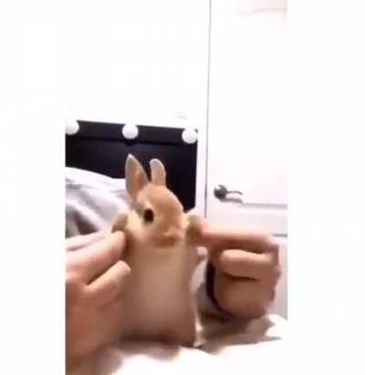 Jeannie dancing> than rabbit dancing, but this is pretty cute