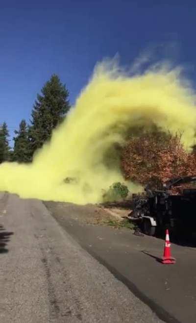 a tree full of pollen