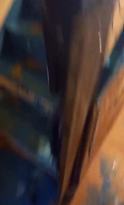 Husky puppies paint the floor blue while owner was outside for 20 minutes.