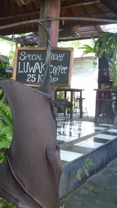 Ляяяя какой