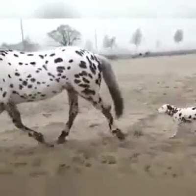 cRaZy BiTcH aBaNdOnS hEr cHiLd aNd Ran aWaY