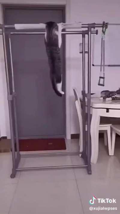 Todo enemigo se vence con paciencia y entrenamiento 