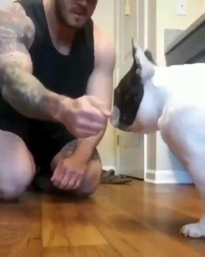 What the heck hooman