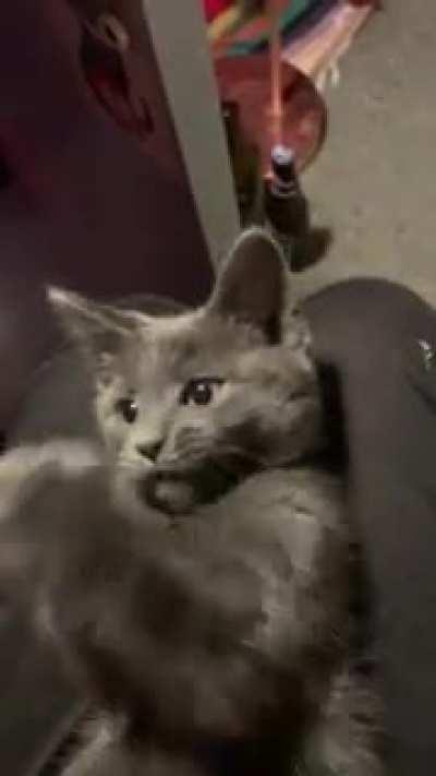 i can't cope with how cute he is