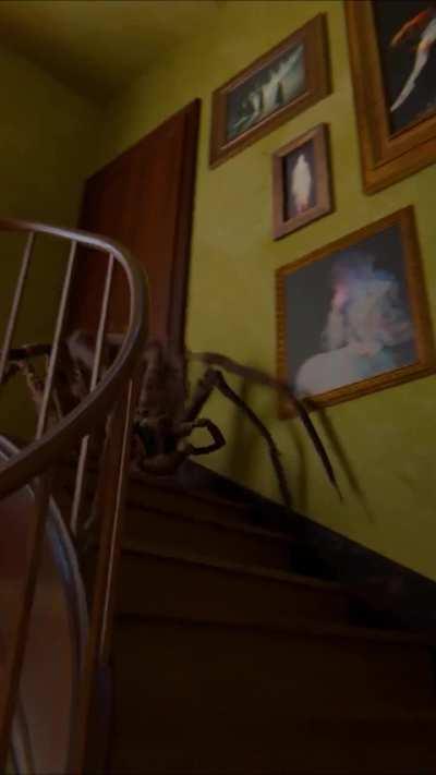 Danger on the Stairs