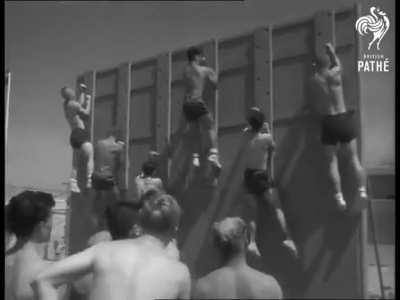 High school in 1962. No internet, no seed oils, no processed foods…