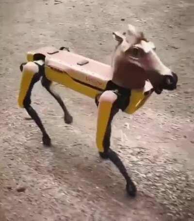 Thanks, I hate this horse.