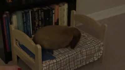 Wade, you’re so dramatic.