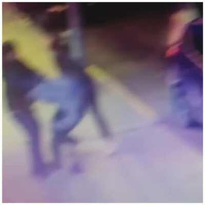 You get some bear mace and you get some bear mace