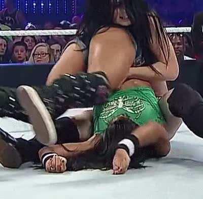 Paige and AJ Lee