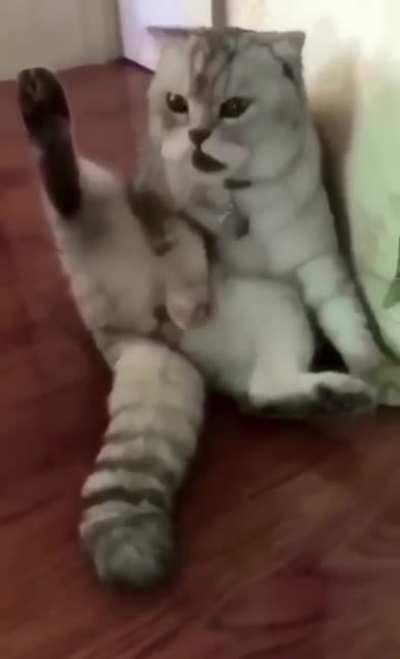 After a Trip To The Vet