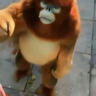 Salió nueva especie de mono